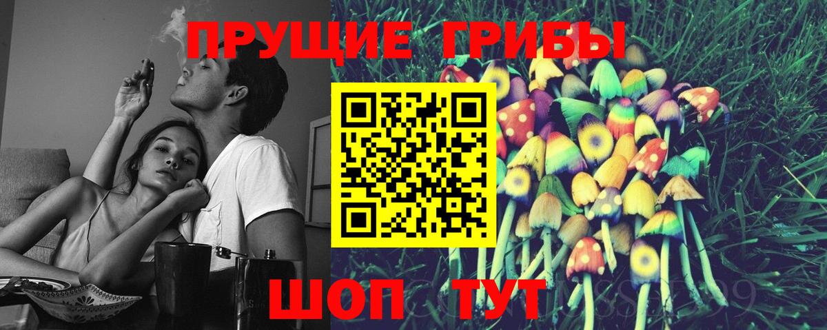 где найти   Вход с VPN  Вичуга  Галлюциногенные грибы ЛСД 